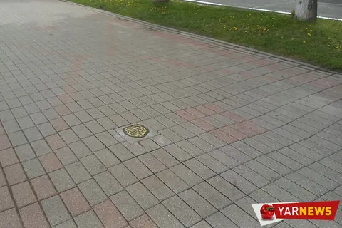В центре Ярославля появились медвежьи следы