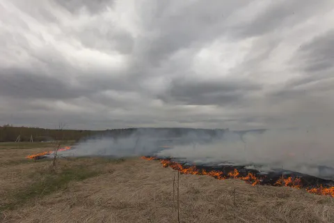В соцсетях размещены фотографии пожара в Ярославской области от Гринпис