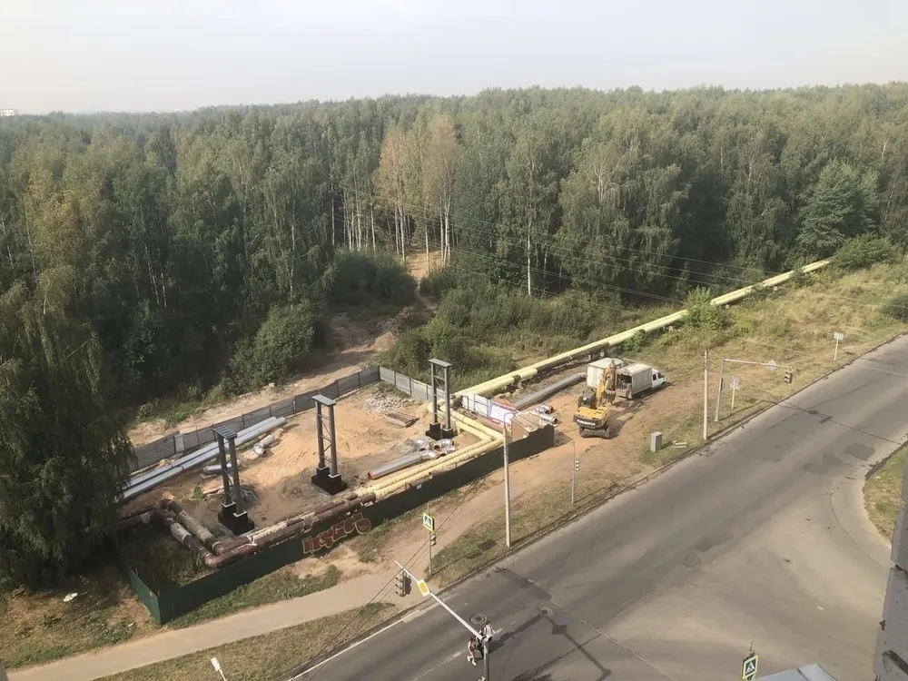 В Ярославле березовую рощу вернули в муниципальную собственность