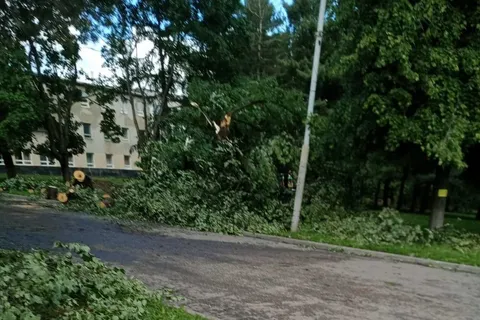 В Ярославле ночью устраняли последствия вчерашней грозы