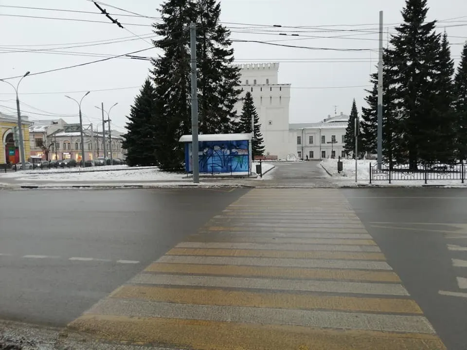 Мэру Ярославля посоветовали «подмести пыль» и «помыть полы»