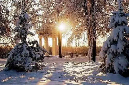 В Ярославле на этой неделе ожидаются серьёзные заморозки