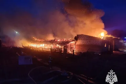 В Ярославской области при пожаре на ферме погибли два человека