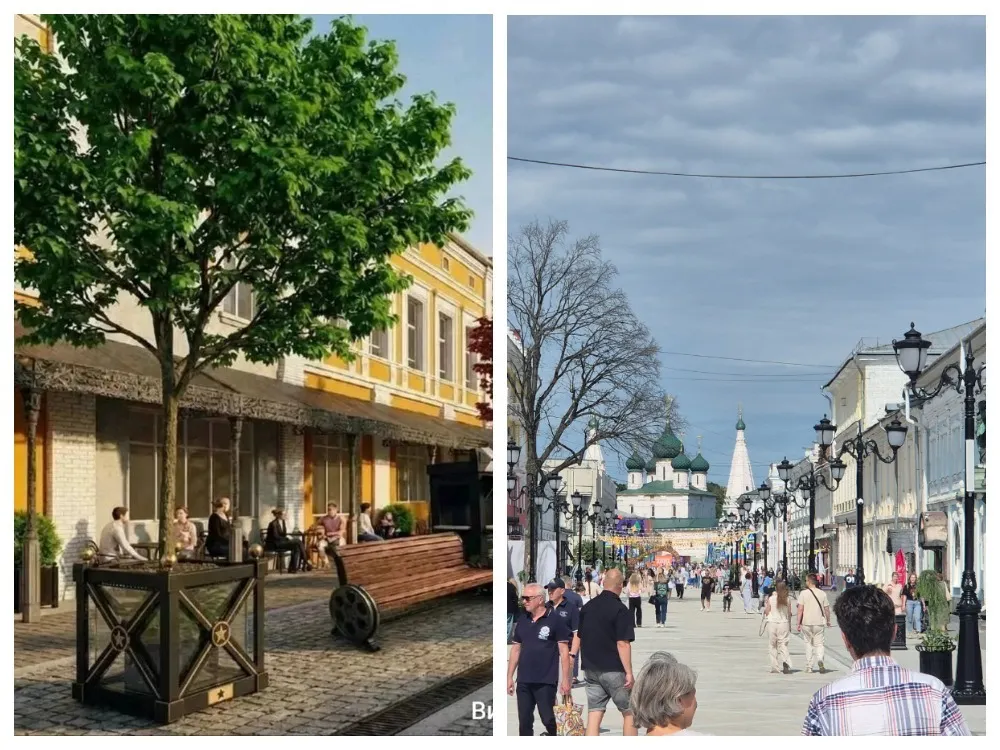 На кинематографической улице в Ярославле ждут посадки кленов