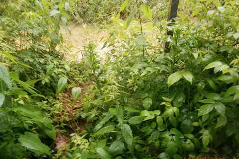 Под Угличем деревенские колодцы наполнились «мусорной водой»