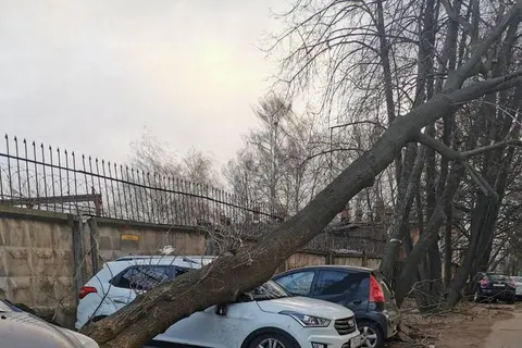 В Ярославль пришел ураган: фоторепортаж последствий природной стихии