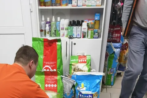 Ярославец спас сбитую собаку на заснеженной трассе Сыктывкара