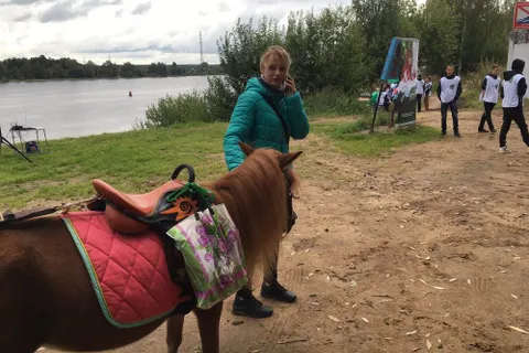 «Страна моей мечты» поселилась в Павловской роще Ярославля