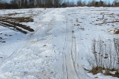 Деминский марафон Worldloppet-2014 в Рыбинске отменен. С фото