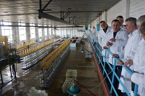 Депутаты областной Думы намерены возродить традиции сыроделия в регионе