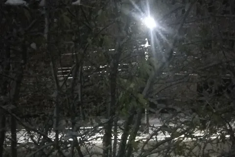 Ярославцы делятся фотографиями первого снега