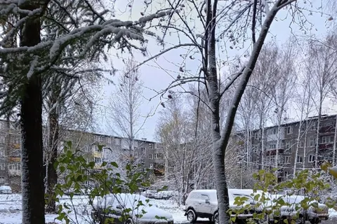 Ярославцы делятся фотографиями первого снега