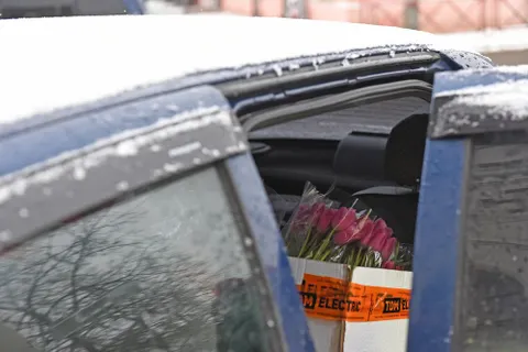 В Ярославле начали нелегально продавать цветы к 8 Марта