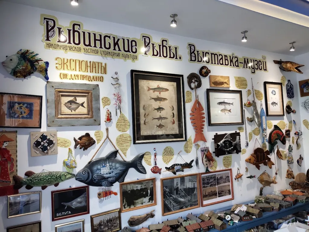 Музей «Рыбинские рыбы» стал победителем грантовой программы