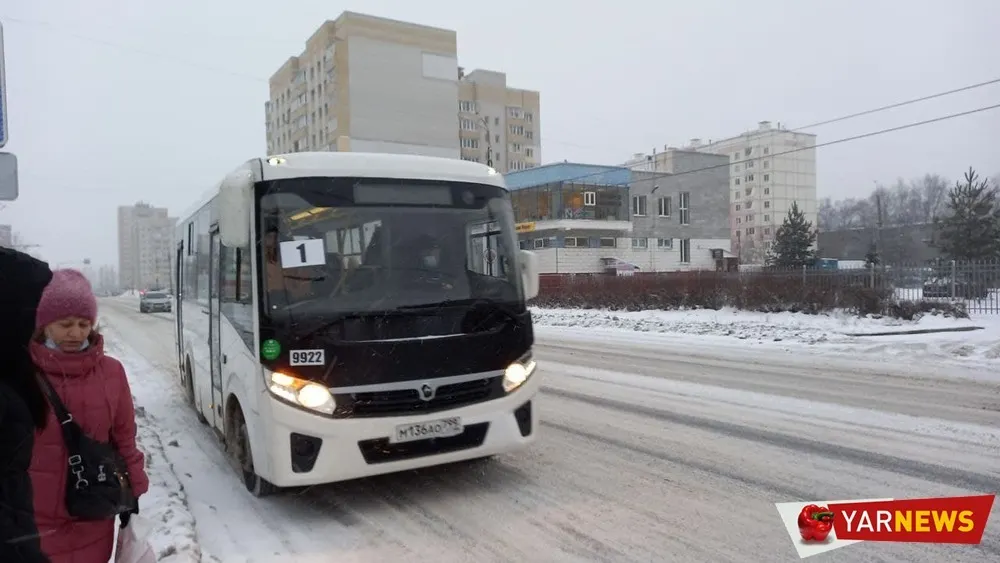 Питерский перевозчик планирует остаться в Ярославле